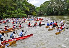 a large group of people in canoes paddling down a river with trees on either side