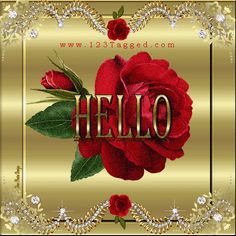 a red rose with the word hello written in gold and surrounded by jewels on a golden background