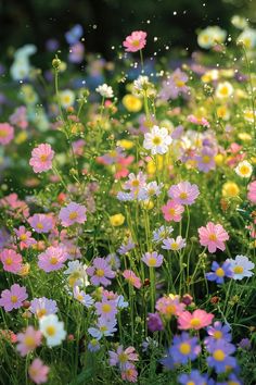 many different colored flowers in the grass