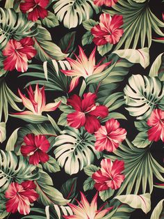 a black background with red and green leaves and flowers on the bottom right corner is an image of tropical plants