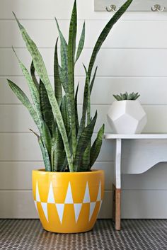 a yellow potted plant sitting on top of a table next to a white shelf