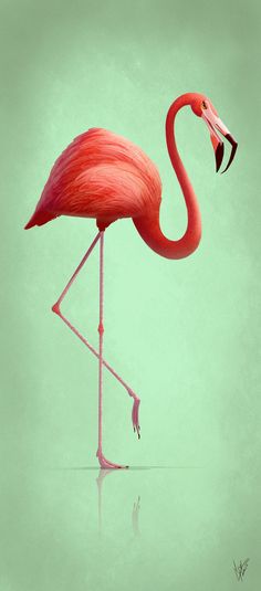 a pink flamingo standing on top of a green floor next to a white wall