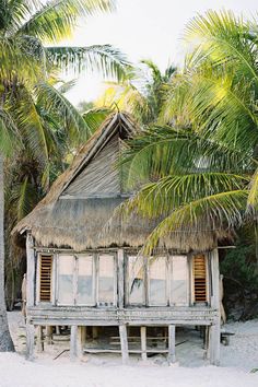 an old hut on the beach surrounded by palm trees