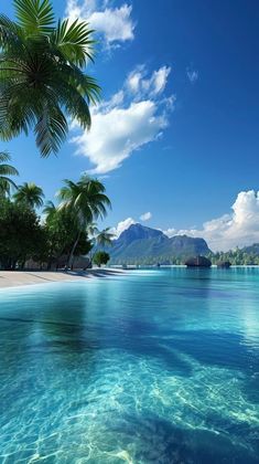 an ocean scene with palm trees and clear water