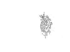 a black and white drawing of a heart with flowers on it's back side