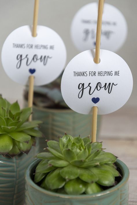 Plant As Gift Ideas, Thank You Gift To Teacher, Teacher Gifts Plant, Plant Teacher Gifts, Gift Ideas Thank You, Succulent Appreciation Gift, Gift A Plant Ideas, Plants For Teacher Appreciation, Thank You Souvenirs Gift Ideas