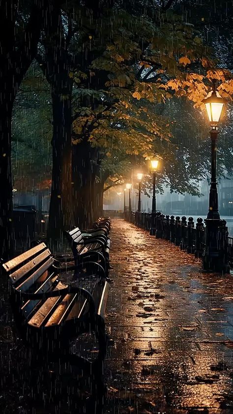 Black Hd, Park Benches, Dark Vintage, Image Nature, Pretty Landscapes, Autumn Scenery, Beautiful Images Nature, Beautiful Locations Nature, Beautiful Landscape Wallpaper