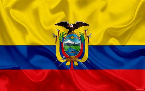 Descargar fondos de pantalla Ecuadorian indicador, Ecuador, Sur America, flag of Ecuador, nacional de la bandera, de la seda Equador Flag, American Flag Facts, Flag Of Ecuador, Ecuadorian Flag, South America Flag, Ecuador Flag, Cuenca Ecuador, Lion Photography, Quito Ecuador