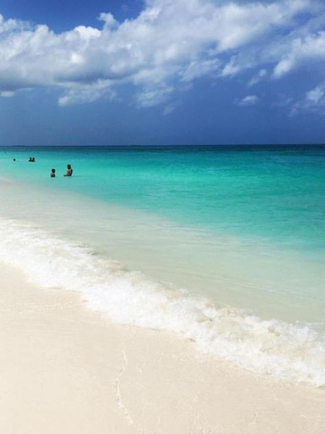 Eagle beach Beach, Outdoor, Eagle, Palm Beach, Sandy Beaches, Beaches, Ocean View, Aruba Beach, Ocean