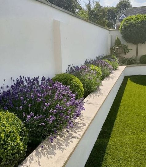 Modern Garden Design, Moderne Have, Front Garden Landscape, Minimalist Garden, Back Garden Design, Desain Lanskap, Lavender Garden, Modern Landscape Design, Have Inspiration