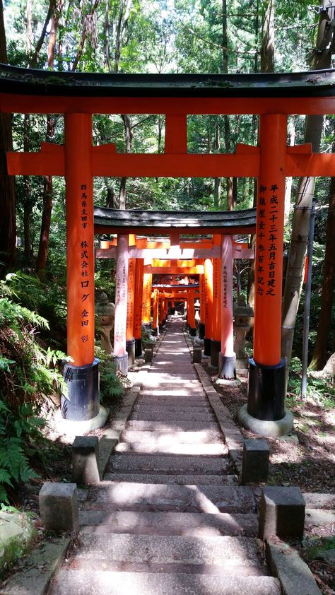 Japan Destinations Beautiful Places, Asia Core Aesthetic, Edo Japan Aesthetic, Japan Asthetics Photos, Japan Asethic, Asia Core, Travelling Japan, Japanese Places, Backpacking Japan