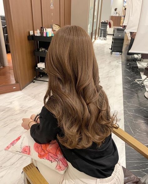 Chestnut Hair Color Brown, Honey Brown Hair Latina, Light Hazelnut Brown Hair, Light Brown Hair Korean, Natural Light Brown Hair Color, Light Brown Caramel Hair, Old Money Brown Hair, Brown Chocolate Hair Color, Dark Brown Color Hair