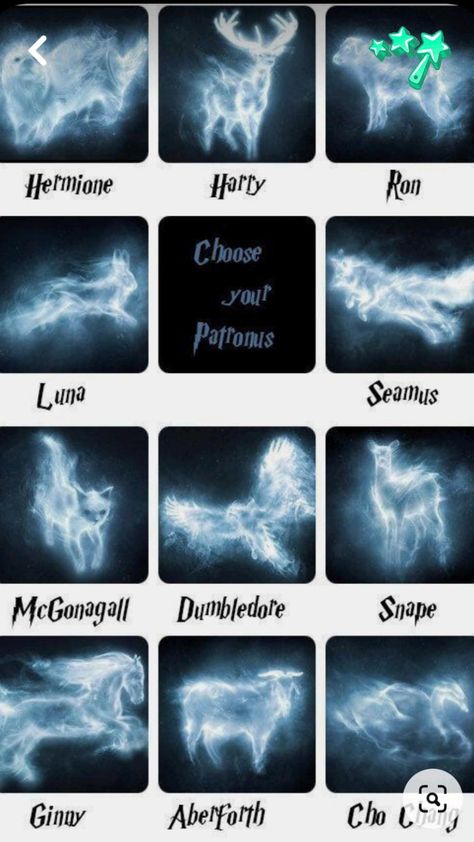 Harry Potter Family Tree, Harry Potter Preferences, What Animal Are You, Harry Potter Bag, Harry Potter Patronus, Citate Harry Potter, Deathly Hallows Part 2, Harry Potter Glasses, Totem Animal