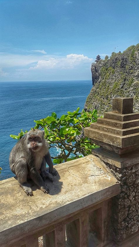 Temple Bali, Best Time To Travel, Bali Baby, Uluwatu Temple, Bali Travel Guide, Time To Travel, Bali Island, Gap Year, Dream Holiday