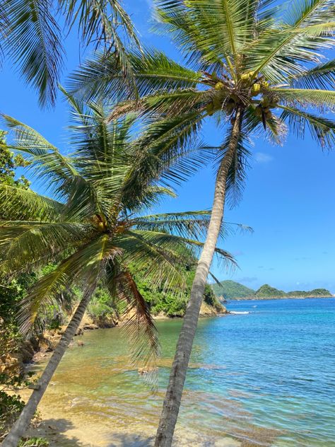 Island,, tropics,, Island living,, sea breeze,, beach,, sunny days,, Caribbean,, Caribbean sea,, vacationing,, vaca,, sunny weather,, beach,, beach days,, blue skies,, clear waters Ideas, Trinidad, Sunny Beach, Beach Aesthetic, Tropical Beach, Island Vibes, Beach, Beach Day, Beach Pictures