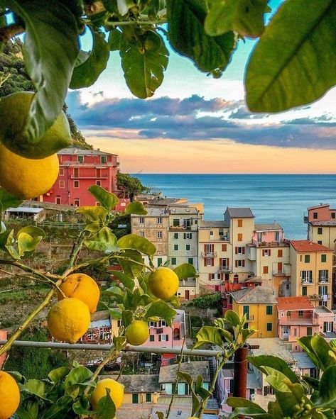 Summer Italy Aesthetic, Pink And Black Nikes, Italy Vibes, Výtvarné Reference, Summer Italy, Europe Aesthetic, Italy Summer, Summer Icon, Italy Aesthetic