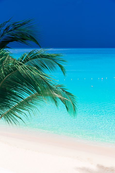 Turquoise Caribbean Sea.  St. James, Holetown, Barbados.  Fairmont Royal Pavilion.  #sponsored Islands, Turquoise, Inspiration, Caribbean Sea, Tropical Beaches, Beach Paradise, Beach Wallpaper, Beach, Beautiful Beaches