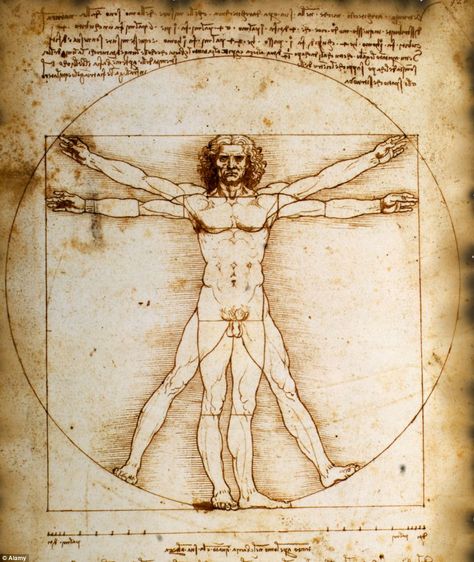 Leonardo Da Vinci Dibujos, Da Vinci Vitruvian Man, Vitruvian Man, Art Classique, Geometric Wallpaper, Western Art, Wallpaper Roll, Jigsaw Puzzle, Classic Art