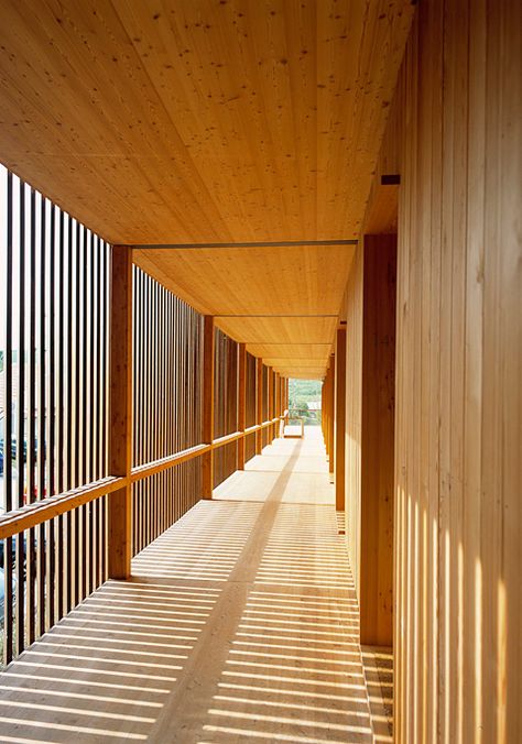 Using wood to reach new heights - The Building with timber exhibition in Munich documents the potentialities afforded by this ancient material, making adventurous constructions a real possibility for the future. Rather than the undifferentiated use of the term sustainability as a mere marketing slogan, dates and facts are subject to strong analysis – presenting accomplished examples of application. Koshino House, Timber Architecture, Wooden Facade, Bali House, Wooden Architecture, Wood Building, Wood Architecture, Structure Architecture, Facade Architecture