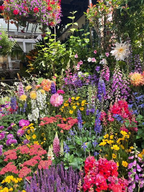 Colorful Garden Aesthetic, Backyard Floral Garden, English Country Garden Flowers, Wild Flower Garden Front Yard, Floral Garden Aesthetic, Lupine Flowers Garden, Flower Ideas For The Yard, Garden Astethic, Wild Flower Lawn