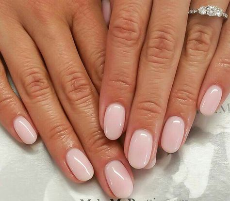 Shellac Nails Simple Sheer Nails, Sns Dip Powder Nails Colors Neutral, Light Pink Neutral Nails, Short Round Gel Nails, Round Shape Nails, Short Squoval Nails, Nails Almond Short, Rounded Acrylic Nails, Manikur Kuku