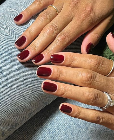 Red Nail, Wine Nails, Dark Red Nails, Unghie Sfumate, Short Square Nails, Casual Nails, Makijaż Smokey Eye, Nagel Inspo, Manicure Y Pedicure