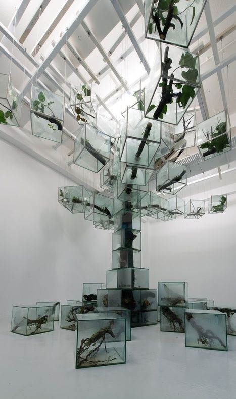 Box Installation Art, Glass Box Architecture, Ecosystem Art, Decay Architecture, Singapore Art Museum, Instalation Art, Singapore Art, Soyut Sanat Tabloları, Glass Box