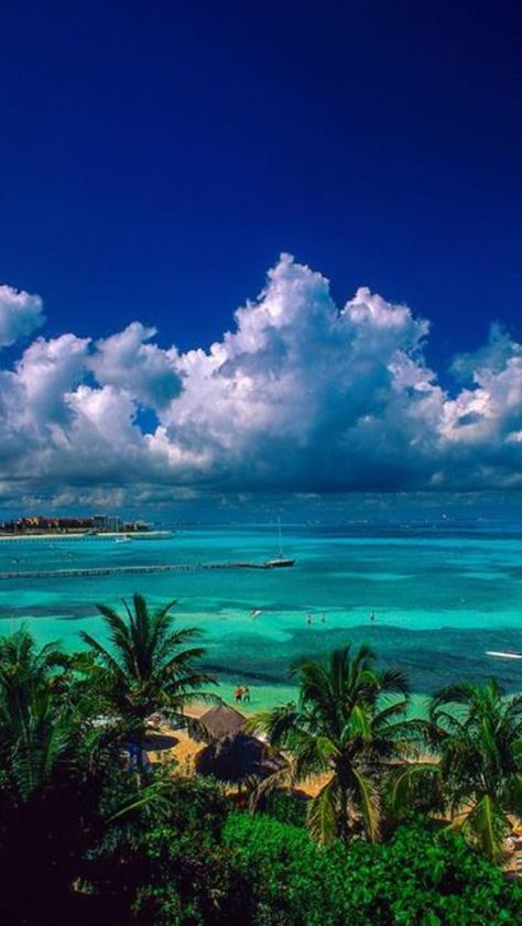 Florida, Cancun, Mexico, Cancun Mexico, Hawaii, Caribbean Sea, Beautiful Beaches, Beautiful Places, Dream Vacations