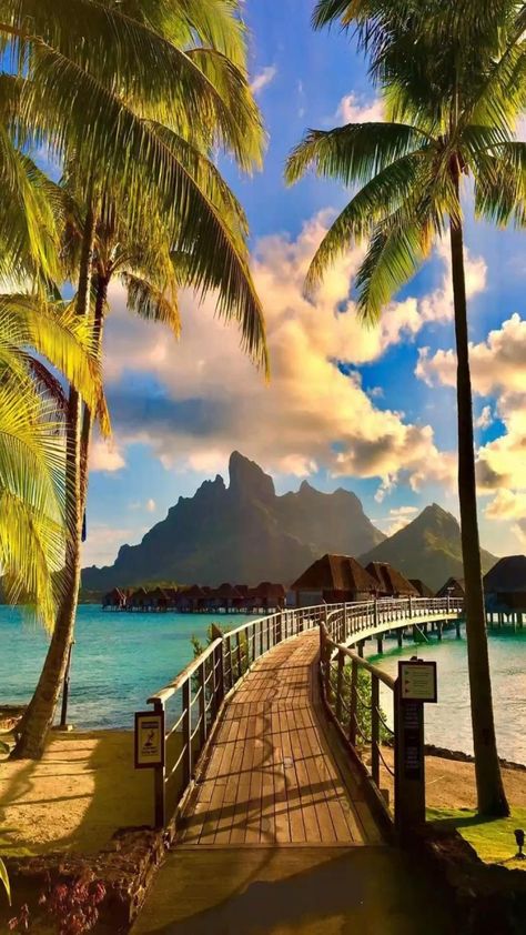 Bora Bora. Beach. Island. Travel. Life Bora Bora, Holiday Places, Dream Vacations Destinations, Adventure Vacation, 수채화 그림, Dream Travel Destinations, Alam Yang Indah, Alam Semula Jadi, Vacation Places