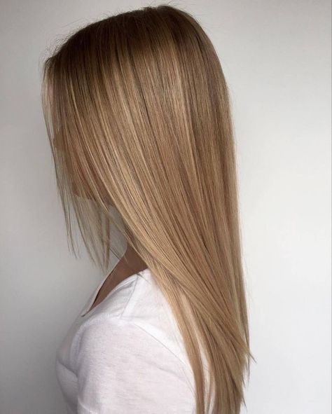 Tmavý Blond, Root Stretch, Summer Blonde Hair, Kadeřnické Trendy, Vlasové Trendy, Dirty Blonde Hair, Honey Blonde Hair, Dark Blonde Hair, Blonde Hair Inspiration