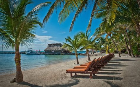15 Best All-Inclusive Resorts in Belize - The Crazy Tourist Resorts, Belize Barrier Reef, Caribbean, Belize Beach, Belize All Inclusive, Belize, Caribbean Sea, Belize Resorts, Resorts In Belize