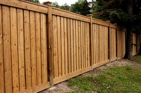 Craftsman Privacy Fence, Updating Old Wood Fence, Pressure Treated Fence Ideas, Shared Fence Privacy, Fence Wood Design, 6 Ft Privacy Fence, Nice Wood Fence, Different Style Fences, 7ft Fence Ideas