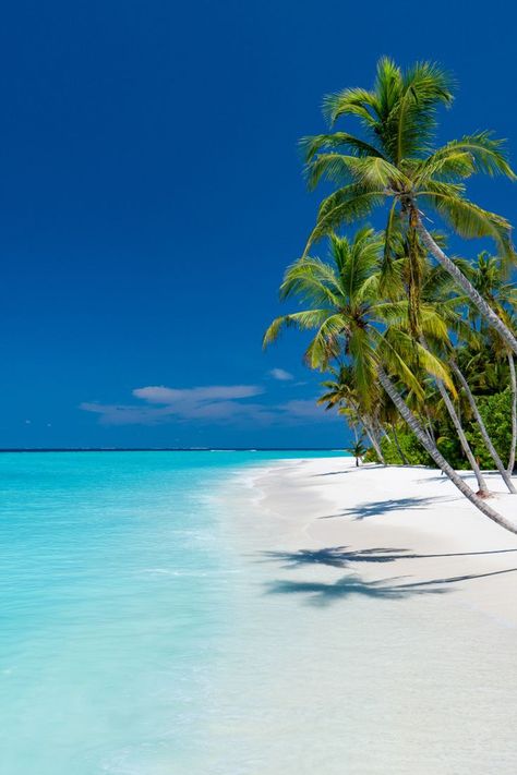 the world's most stunning beaches maldives The Maldives Islands, Maldives Aesthetic Wallpaper, Maldives Nature, Maldives Pictures, Maldives Aesthetic, Maldives Photography, Beach Maldives, Maldives Vacation, Maldives Beach