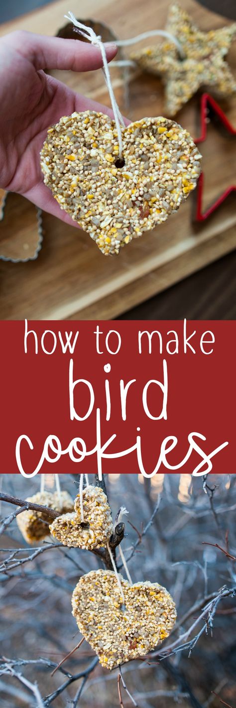 Looking for a sweet Forest School inspired activity for late winter? Try making these cute Bird Cookies! They feed the hungry birds and they're easy and fun to make too! #birdcookies #birdseedornaments #forestschoolactivity #winteractivity Bird Seed Crafts, Bird Feeders For Kids To Make, Seed Craft, Bird Seed Ornaments, Bird Feeder Craft, Bird Seed Feeders, Bird Cookies, Homemade Bird Feeders, Diy Bird Feeder