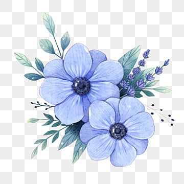 cat air,anemon,biru,tandan bunga,pernikahan,kartu ucapan,menanam,bunga-bunga,anemon,kartu ucapan,buket,daun bunga,berkembang Blue Anemone Flower, Watercolor Anemone, Flower Vector Art, Blue Anemone, Blue Png, Drawing Tutorials For Beginners, Transparent Flowers, Cat Air, Flower Cluster