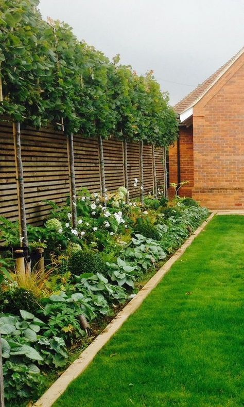 Edging Ideas, Garden Screening, Landscape Edging, Large Backyard, Backyard Garden Design, Garden Edging, Camping Ideas, Fence Design, Small Backyard Landscaping