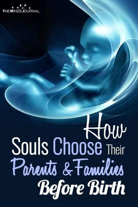 Soul Contracts, Soul Contract, Metaphysical Spirituality, Spiritual Awakening Signs, Soul Family, Energy Healing Spirituality, Psychic Development, After Life, Spiritual Enlightenment