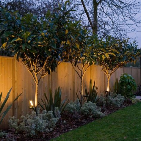 Backyard Fence Decor, Landscaping Along Fence, Garden Lighting Design, Fence Plants, Backyard Trees, Backyard Plants, Outdoor Lighting Landscape, Patio Garden Design, Fence Landscaping