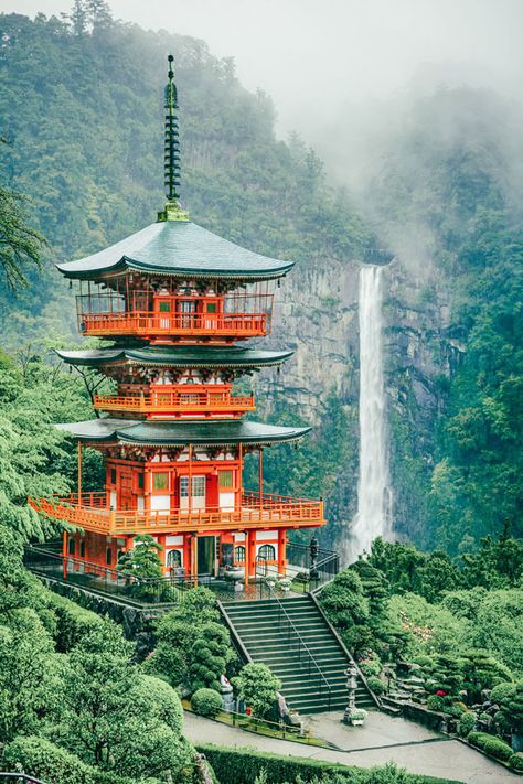Places In Japan, Japan Bucket List, Beautiful Places In Japan, Japan Sushi, Beauty Plan, Buddhist Temples, Lev Livet, Blossom Season, Paris Jackson