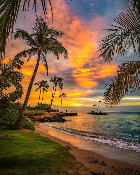 Best Honeymoon Places In Hawaii + Top Resorts Best Honeymoon Places, Places In Hawaii, Best Places To Honeymoon, Hawaii Pictures, Honeymoon Places, Image Nature, Best Honeymoon, Scenery Pictures, Hawaii Beaches