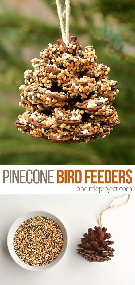 These pinecone bird feeders are SO PRETTY and they're so easy to make! With just a few simple supplies you can make one in less than 10 minutes! It's a great craft for kids, tweens, teens, adults, seniors and even in the classroom! It's so much fun to watch the birds it brings to the backyard! Pine Cone Crafts, Pinecone Bird Feeders, Pine Cone Bird Feeder, Bird Seed Ornaments, Bird Feeder Craft, Diy Bird Feeder, Cones Crafts, Diy Birds, 3d Christmas