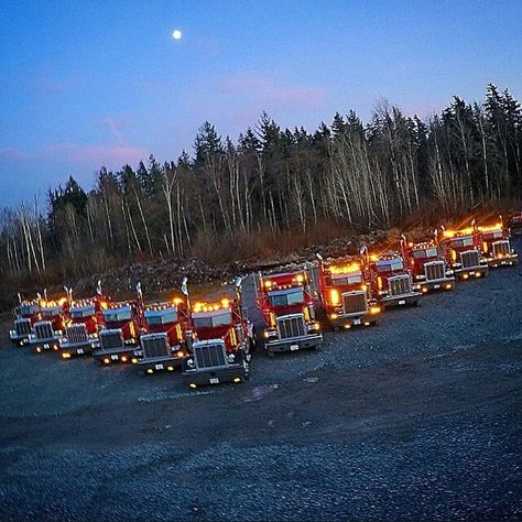Peterbilt custom 379 heavy haul Trucks, Dump Truck, Outdoor, Big Rig, Haul, Train Car, Dump Trucks, Big Trucks, Peterbilt Dump Trucks