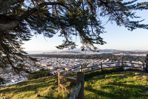 Everyone loves Golden Gate Park and Dolores Park, but did you know San Francisco has over 220 parks and open spaces? Curbed SF wants to bring fame and glory to... Golden Gate Park, San Francisco City, San Francisco Travel, 2023 Vision, Nice Place, Monterey Bay, Open Spaces, Local Travel, 2024 Vision