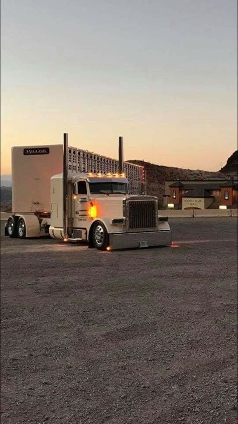 Trucks, Diesel Trucks, Hot Rod Trucks, Truck Porn, Big Rig Trucks, Rv Truck, Custom Big Rigs, Old Ford Trucks, Trucks And Girls