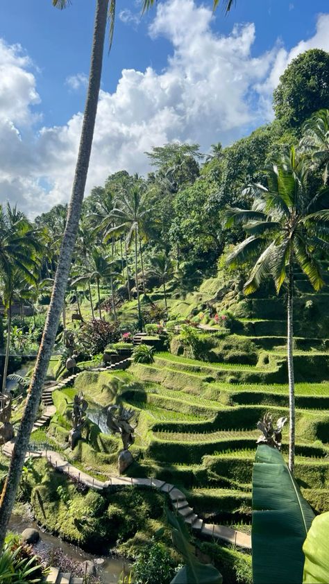 Amazing travel places Bali Astethic, Ubud Bali Aesthetic, Bali Rice Fields, 2024 Holidays, Bali Lifestyle, Living In Bali, Bali Nature, Manifest 2024, Bali Aesthetic