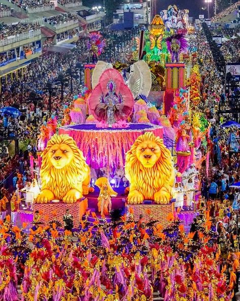 Carnival of rio de janeiro Brazil, Parades, Rio, Turismo, Carnaval, Brazil Festival, Ecuador, Brazil Life, Dream Holiday