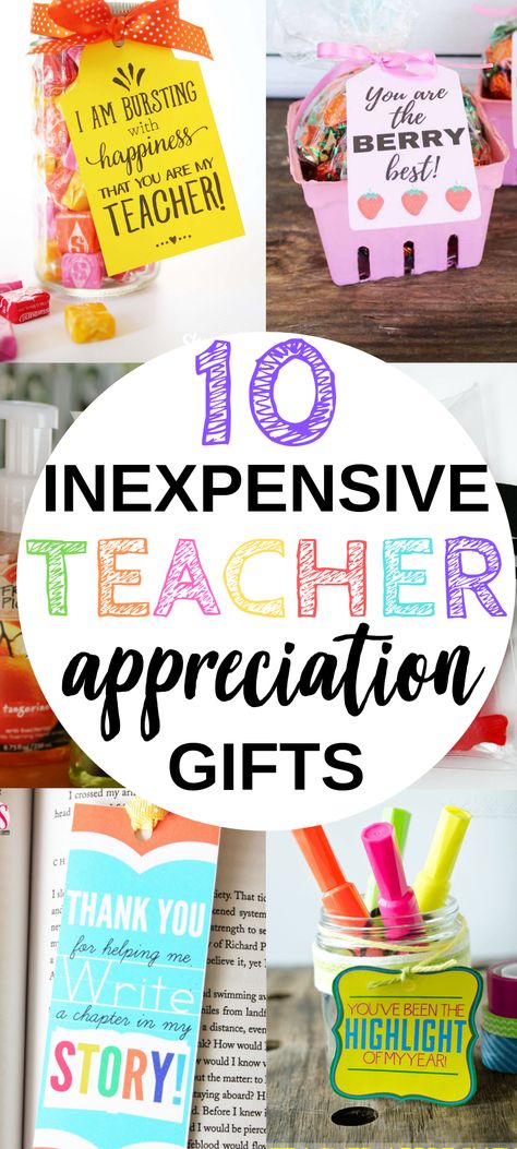 Teacher Appreciation Charcuterie Cups, Teacher Self Care Gifts, Dollar Tree Thank You Gift Ideas, Day Care Gifts Appreciation, Support Staff Appreciation Gifts, Teacher Support Ideas, Self Care Gifts For Teachers, Day Care Teacher Appreciation Gifts, Self Care Teacher Appreciation