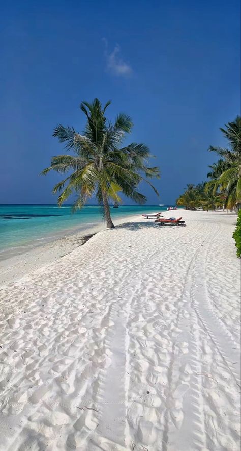 #carribean #sea #mexico #whitebeach #sand #tropical #islandlife Inspiration, Nature, Monaco, Florida, Carribean Beach, Caribbean Sea, Caribbean Islands, Carribean, Caribbean Vacations