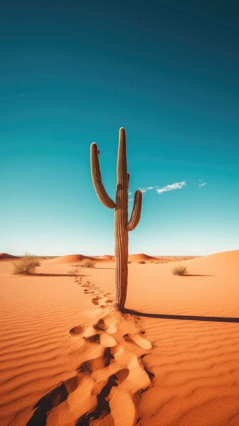 Desert landscape, lone cactus, standing resilient against sandy backdrop. Nature photography, cactus background, low angle shot, bright sunlight, desert minimalism, solitary silhouette, sandy expanse, arid contrast, desert's monument, sparse backdrop, minimalistic background. --ar 9:16 Nature, Desert Dunes Photography, Bright Landscape Photography, Desert Pictures Photography, Mexican Desert Landscape, Cactus Digital Art, Desert Minimalism, Desert Cactus Photography, Desert Reference