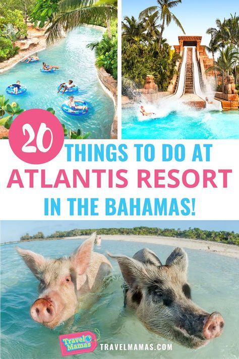 10 Things to Do at Atlantis Resort in The Bahamas! Paradise Island, Snorkelling, Bahamas Vacation, Vacation Spots, Bahamas Resorts, Bahamas Family Vacation, Bahamas Travel, Paradise Island Bahamas, Atlantis Resort Bahamas